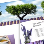 From love for lavender - fancy scrolling effect