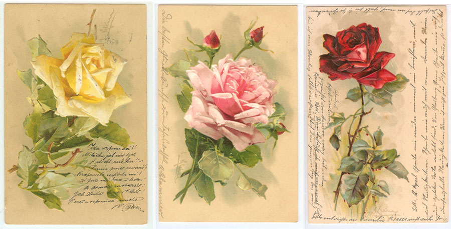 catherine-klein-postcards-roses